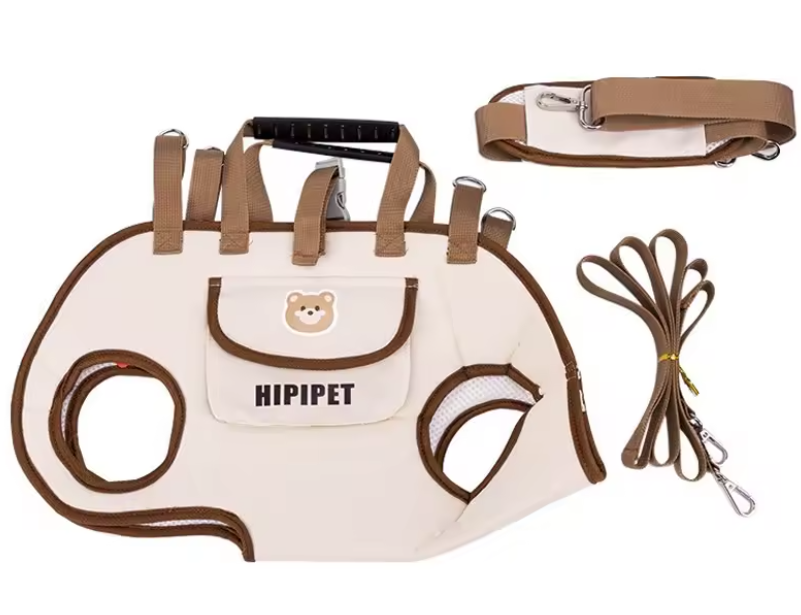 Hands-Free Pet Carrier