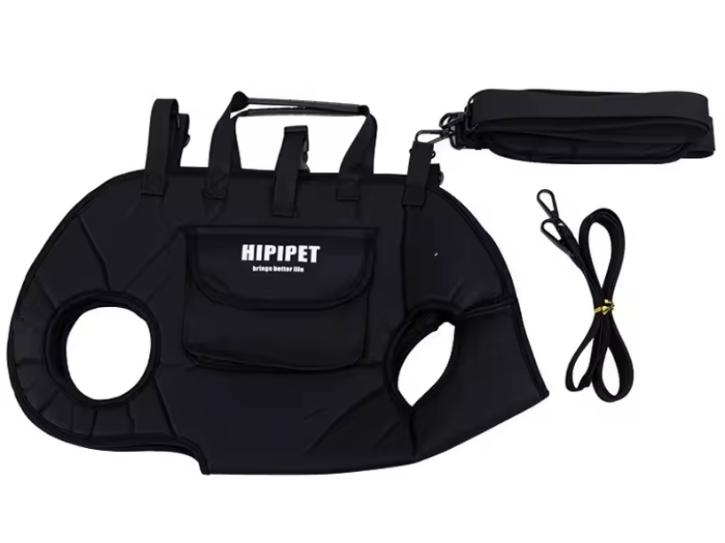 Hands-Free Pet Carrier